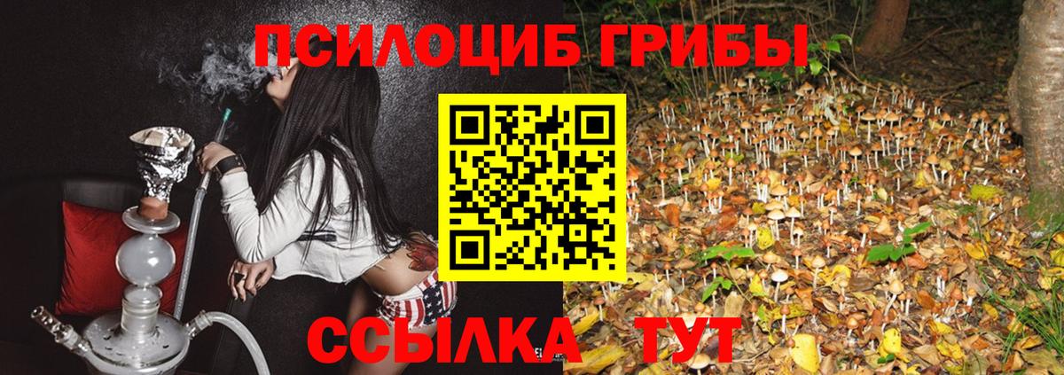 Кыштым  ЭКСТАЗИ  Меф МЯУ МЯУ кристаллы  MDMA  МАРИХУАНА  Вход с VPN  Кокаин  Гашиш 
