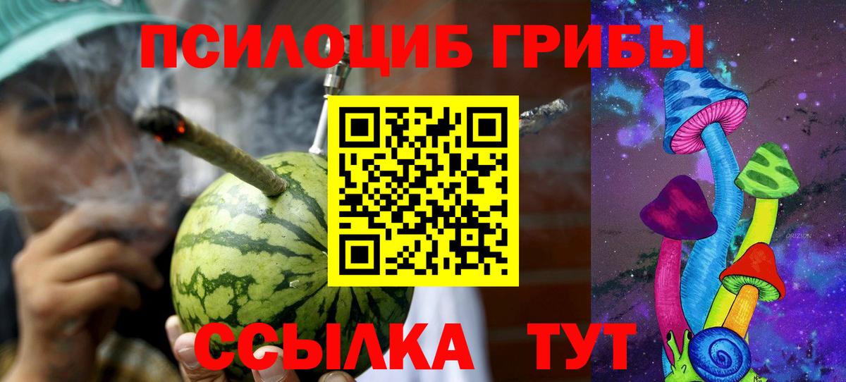 Псилоцибиновые грибы MAGIC MUSHROOMS Кыштым
