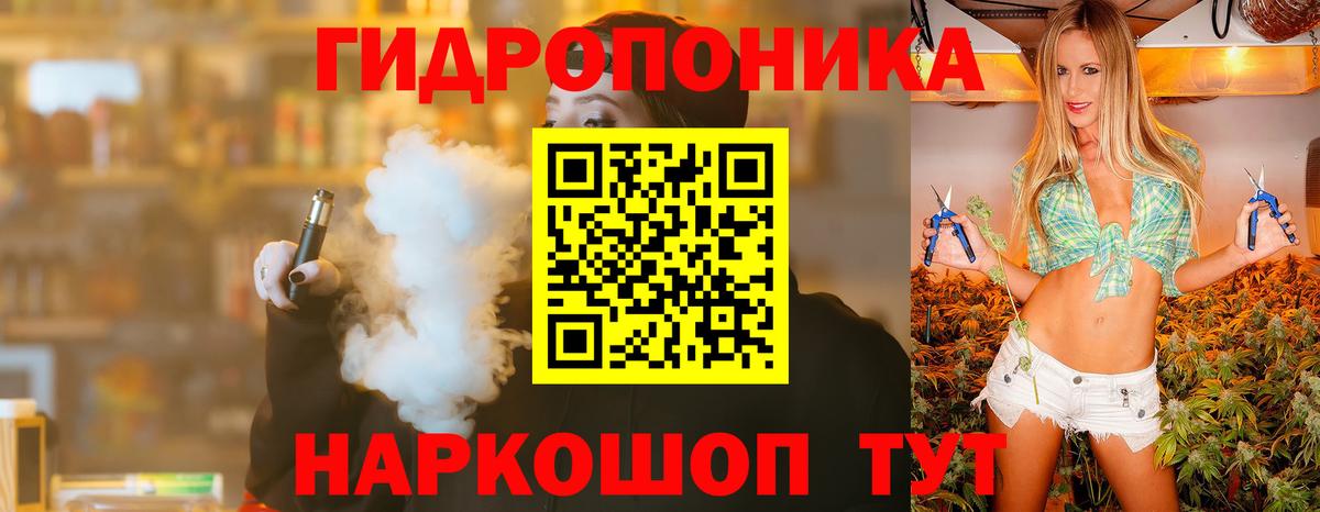 Конопля сатива Кыштым